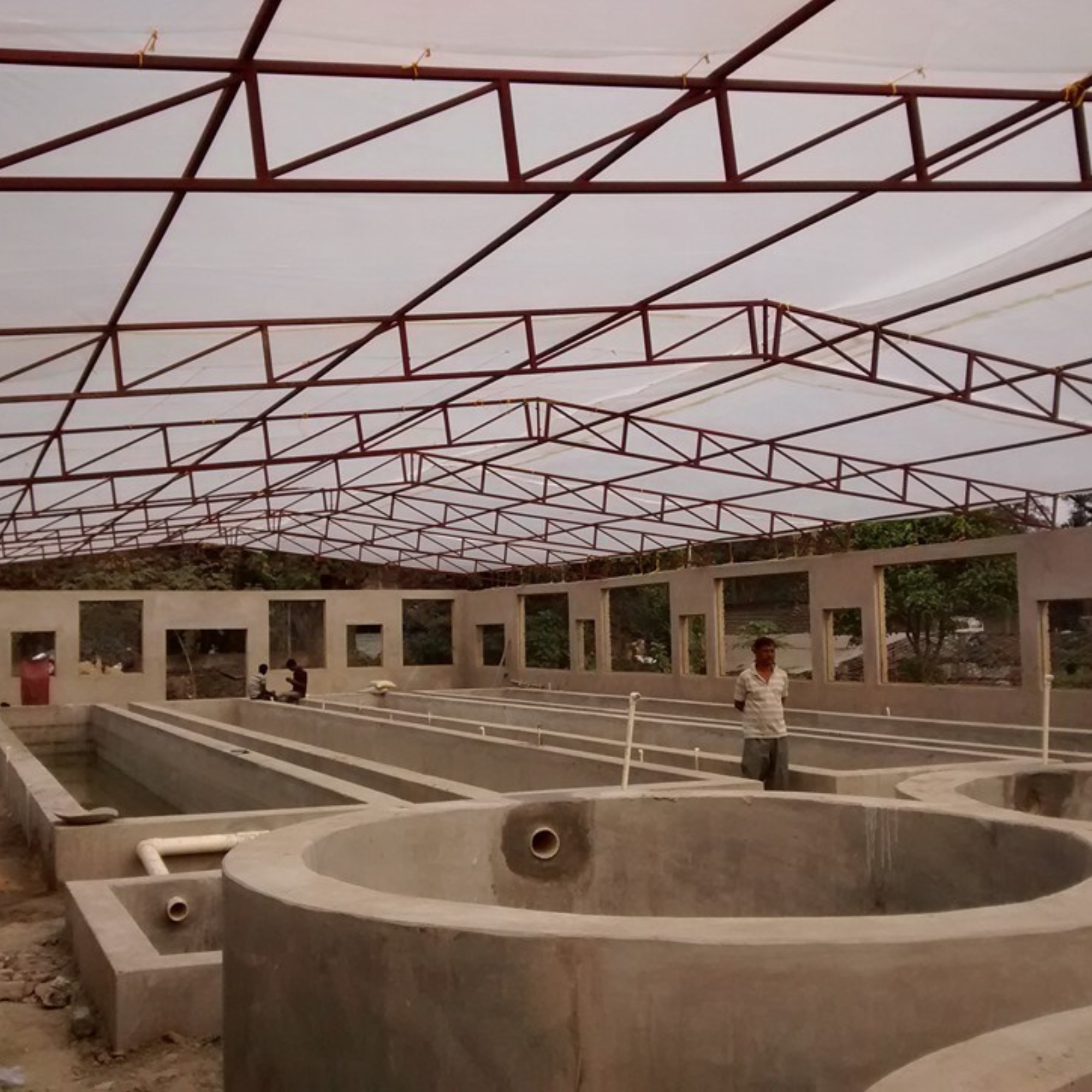 Aquaponics in India